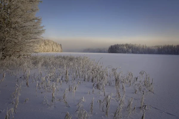 凍った湖の岸に沈む夕日 12月の霜の日 — ストック写真