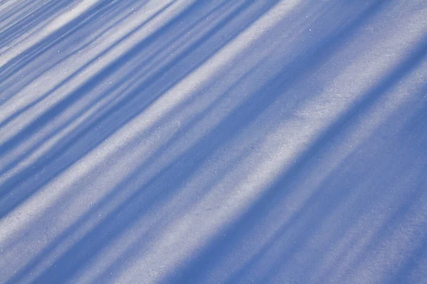 Schatten Von Bäumen Einem Verschneiten Feld — Stockfoto