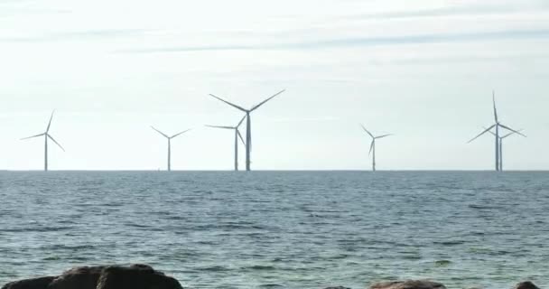 Farmy Wiatrowe Morzu Wytwarzają Energię Wiatrową Przy Jednoczesnym Ratowaniu Przyrody — Wideo stockowe