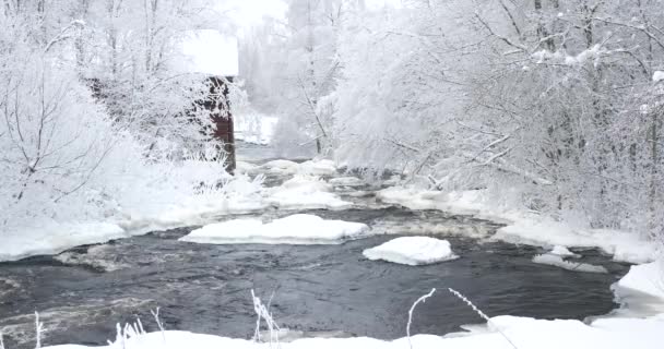 River Winter Old Mill House River — Stock Video