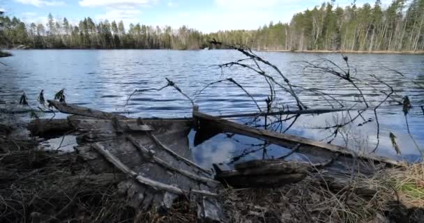 Remains Old Boat Shore Forest Lake — Stock Video