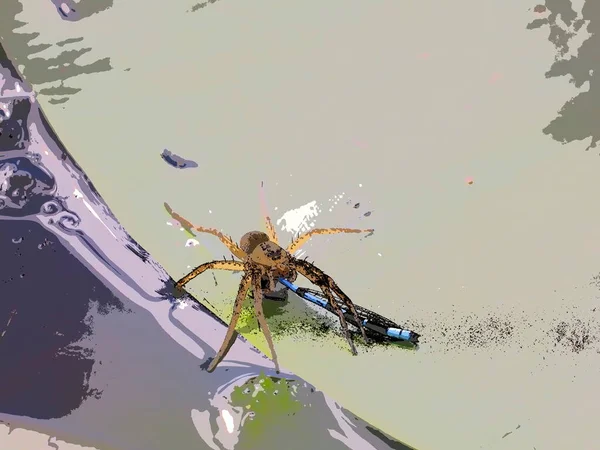 A spider eats a dragonfly. Art photograph. Processed with an art filter. like a painting.