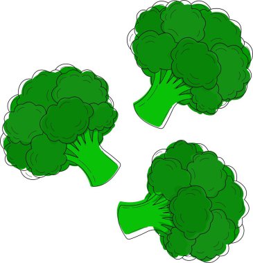 Vector illustration of a broccoli set 