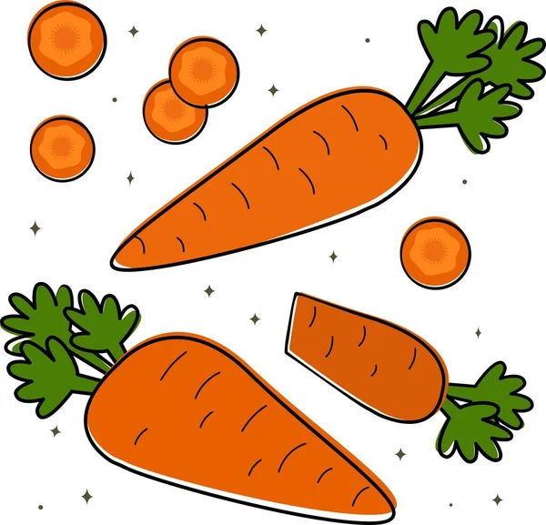 Εικονογράφηση διάνυσμα ενός συνόλου με καρότα. — Διανυσματικό Αρχείο