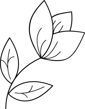 Vektör çiçek çizimi. Dekoratif öge