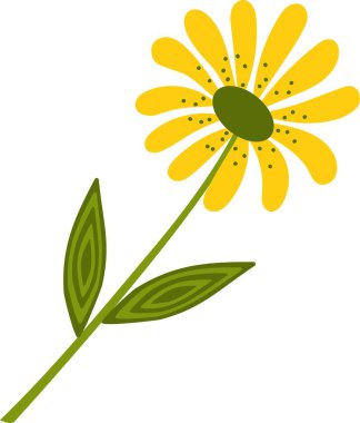 Beyaz arkaplanda sarı çiçek.