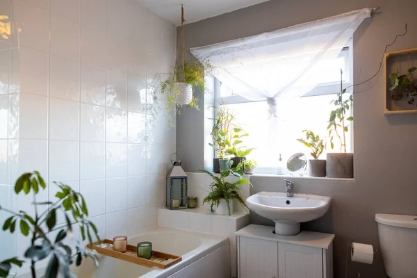 Interior kamar mandi modern — Stok Foto
