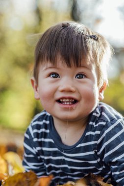 A young mixed race baby boy sitting on the ground in nature in Northumberland, North East England. He is playing with fallen leaves in Autumn while looking up and smiling with spit coming from his mouth.
