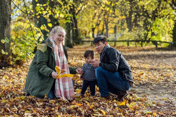 Family Crouching Playing Fallen Leaves Nature Northumberland North East England — Zdjęcie stockowe