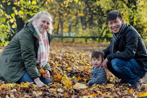 Family Crouching Playing Fallen Leaves Nature Northumberland North East England — Foto Stock