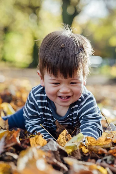 Young Mixed Race Baby Boy Sitting Ground Nature Northumberland North — стоковое фото