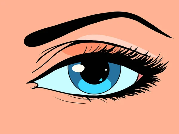 Ojo Femenino Pupila Negra Hermosa Parte Del Cuerpo Vista Belleza — Vector de stock