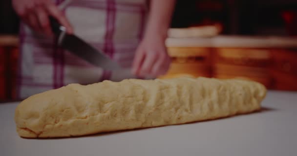 Těsto na pečivo nebo chleba. — Stock video