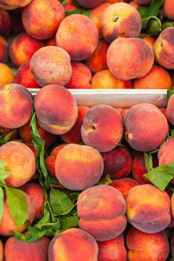 Taze şeftaliler bir kutuda