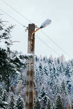 Kışın Sokak Lambası Ormana Karşı