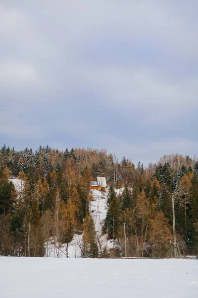 Paisaje invernal de montañas y bosques en día nublado — Foto de Stock