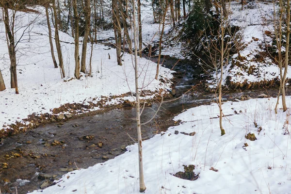 Arroyo de montaña contra bosque en invierno — Foto de Stock