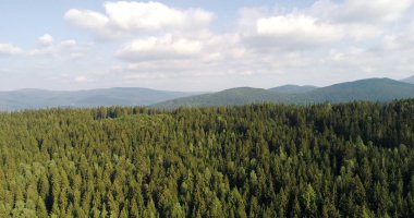 Mavi Gök ve Orman İnsansız Hava Aracı Aşısı. Güzel Manzara Görünümü.