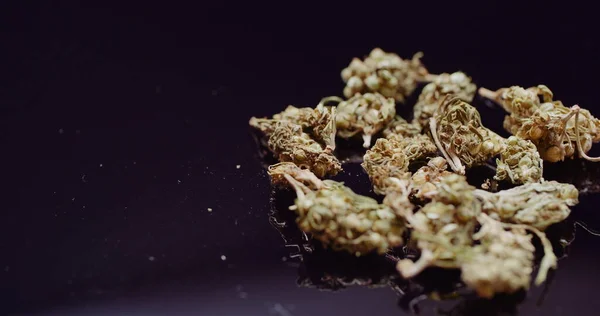 Close up de Cannabis girando em fundo preto. — Fotografia de Stock