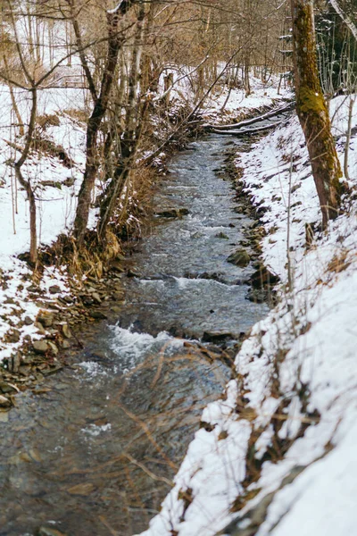 Corrente montesa contra floresta no inverno — Fotografia de Stock