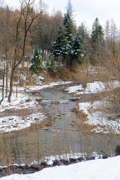 Arroyo de montaña contra bosque en invierno — Foto de Stock