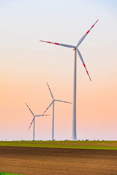 Windmills turbines on sunset background — Stock Photo, Image