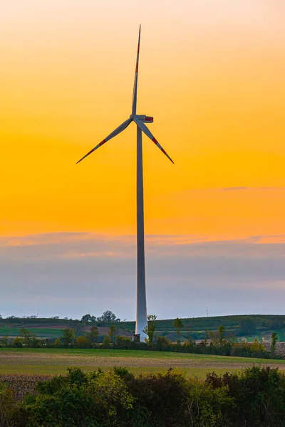 View on the windmills on the field, Renewal source of electricity. Wind turbines field new technology for clean energy — Stock Photo, Image