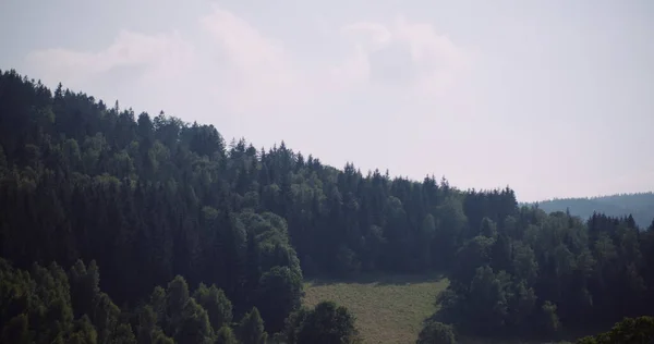 Krásný výhled na les a pole — Stock fotografie