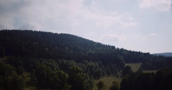 Krásný výhled na les a pole — Stock fotografie