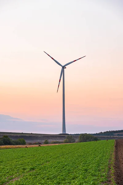 Wind Turbine Ecology Power In Nature Wind Power Electricity — Stock Photo, Image