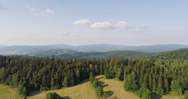 Orman ve Çayırların Güzel Manzarası
