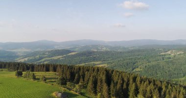 Orman ve Çayırların Güzel Manzarası
