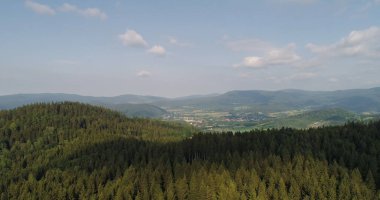 Orman ve Çayırların Güzel Manzarası