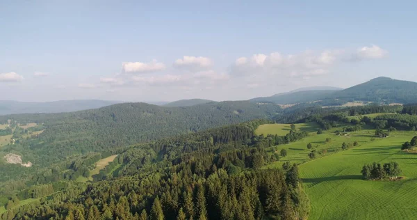 Beautiful View of Forest and Fields Aerial — Stock Photo, Image