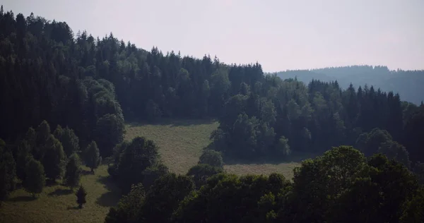 Belle vue sur la forêt et les champs aériens — Photo