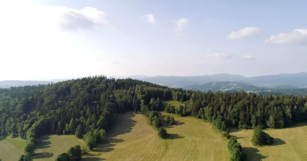 Bela vista da floresta e campos aéreos — Fotografia de Stock