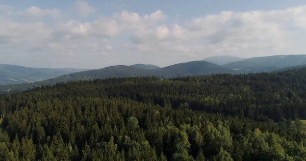 Bella vista della foresta e campi aerei — Foto Stock