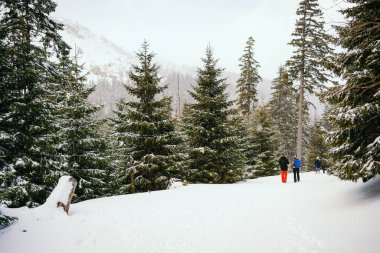 Kışın dağlarda yürüyüş yapan adam.