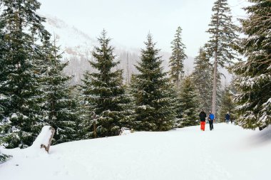 Kışın dağlarda yürüyüş yapan adam.