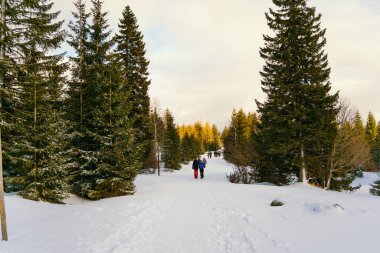 Kışın dağlarda yürüyüş yapan adam.