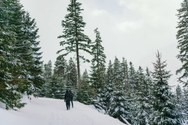 Kışın dağlarda yürüyüş yapan adam.