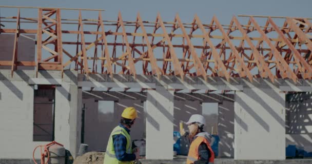 Jonge vrouwelijke ingenieur in gesprek met mannelijke collega — Stockvideo