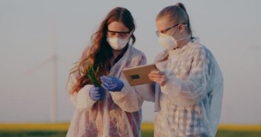 Two Agronomist examining wheat crops in hands, checking wheat quality, touching crops. Scientist examining crops agriculture.