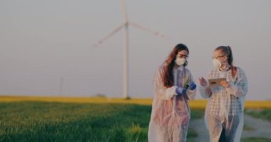 Two Agronomist examining wheat crops in hands, checking wheat quality, touching crops. Scientist examining crops agriculture.