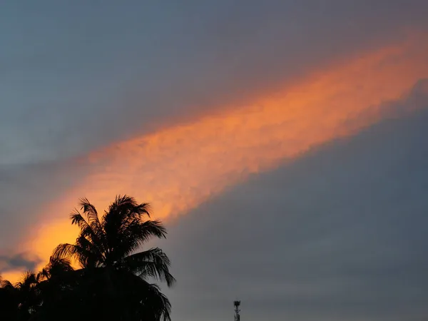 夕阳西下 棕榈树的轮廓被金色的云彩和蔚蓝的天空映入眼帘 地平线开始变得橙色 夜晚乌云密布 一片戏剧性的云彩 — 图库照片