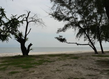 Avustralya çam ağacının silueti deniz pürüzsüz ve Cumulus bulutu güzel mavi gökyüzünde, Khao Sam Roi Yot ulusal parkında tatil aktiviteleri, Tayland