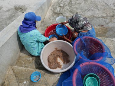 Prahuap Khiri Han Tayland - 30 Ekim 2021 Balıkçılar temiz Krill veya Opossum karideslerini plajda temiz suyla yıkayıp filtreler.