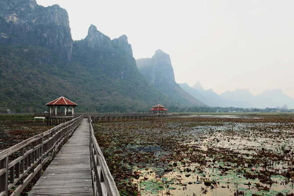 Wetland Khao Sam Roi Yot National Park Wooden Bridge Pavilion — стокове фото