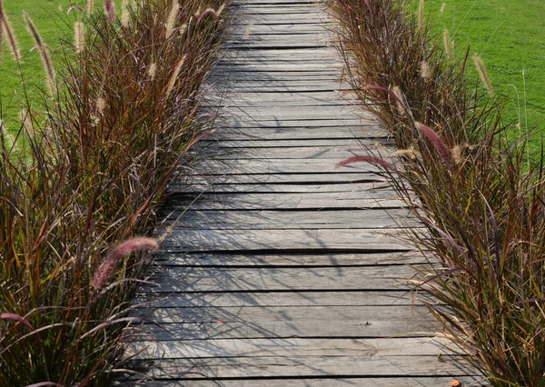 Gray Wood Plank Bridge Group Red Color Chinese Fountain Grass — Stockfoto