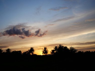 Gün batımında siyah ve turuncu renkli kabarık bulutlu hindistan cevizi palmiyesi silueti, tropikal mavi gökyüzünde beyaz pamuk şeker bulutları, Tayland